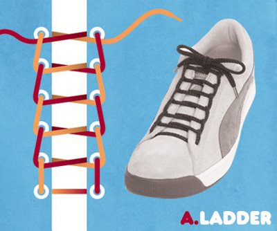 Shoe Laces  on How To Tie Your Shoe Laces
