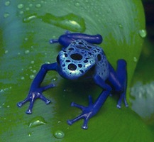 $image1